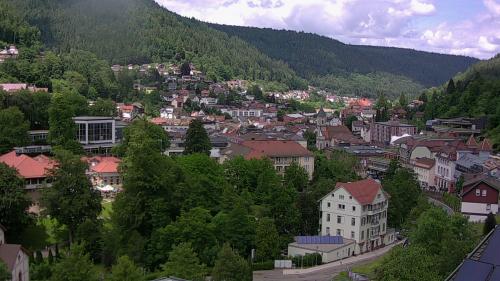 Webcam Bad Wildbad