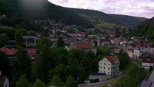 Webcam Bad Wildbad
