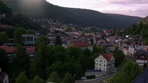 Webcam Bad Wildbad