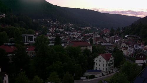 Webcam Bad Wildbad