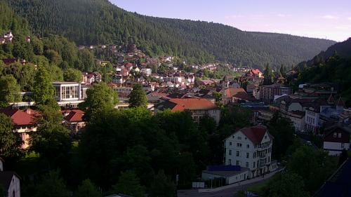 Webcam Bad Wildbad