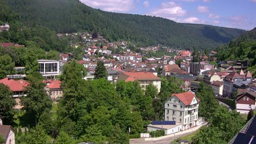Webcam Bad Wildbad