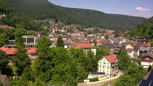 Webcam Bad Wildbad