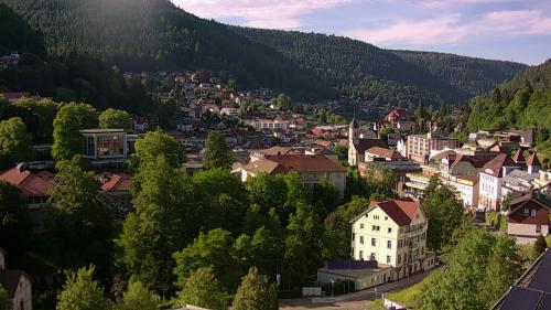 Webcam Bad Wildbad