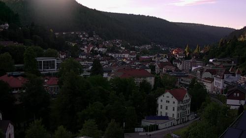 Webcam Bad Wildbad