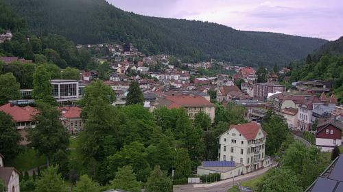 Webcam Bad Wildbad