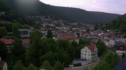 Webcam Bad Wildbad