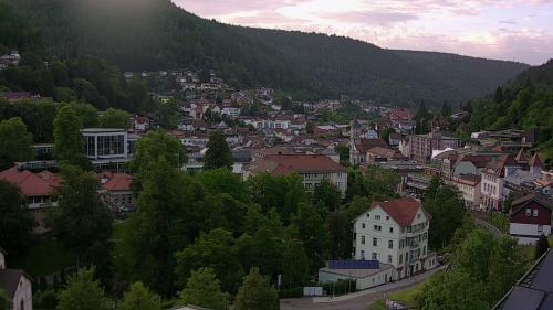Webcam Bad Wildbad