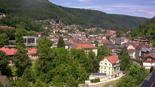 Webcam Bad Wildbad