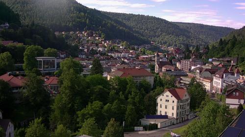 Webcam Bad Wildbad