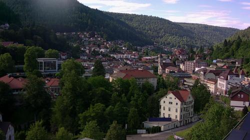 Webcam Bad Wildbad