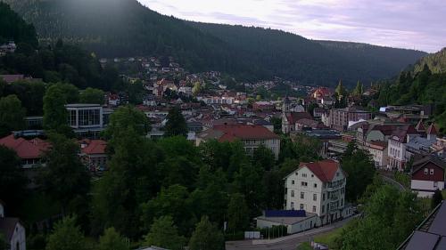 Webcam Bad Wildbad