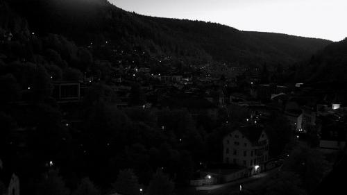 Webcam Bad Wildbad