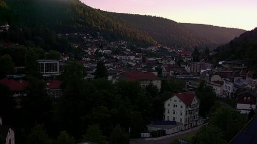 Webcam Bad Wildbad