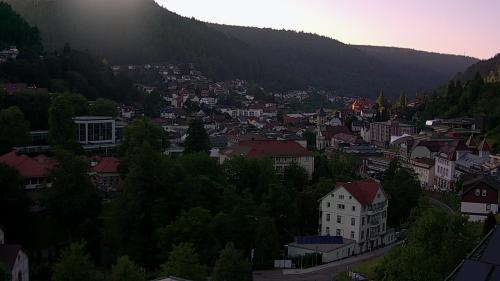 Webcam Bad Wildbad