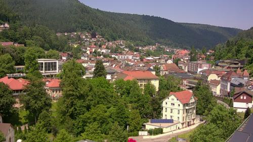 Webcam Bad Wildbad