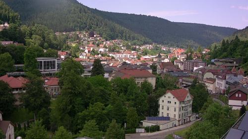 Webcam Bad Wildbad