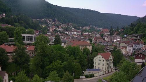 Webcam Bad Wildbad