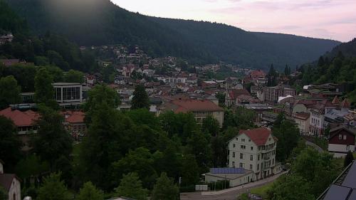 Webcam Bad Wildbad