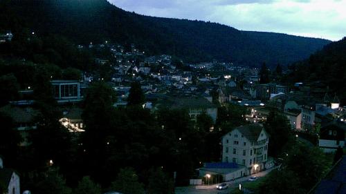 Webcam Bad Wildbad