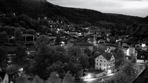 Webcam Bad Wildbad
