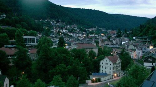 Webcam Bad Wildbad