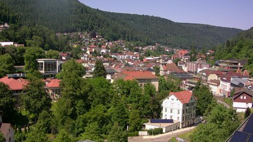 Webcam Bad Wildbad