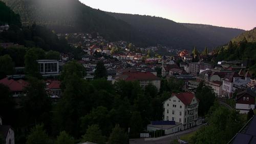 Webcam Bad Wildbad