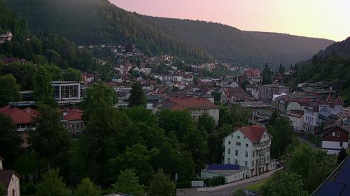 Webcam Bad Wildbad