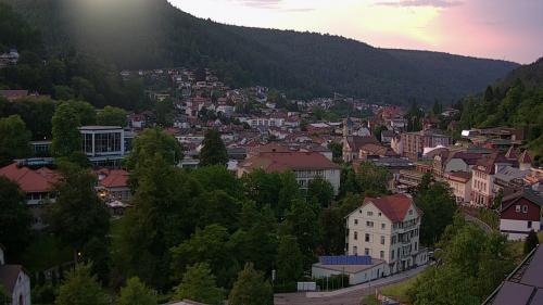 Webcam Bad Wildbad