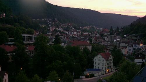 Webcam Bad Wildbad