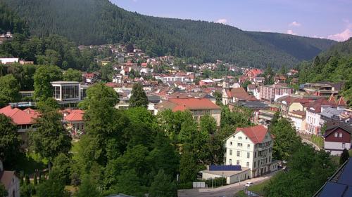 Webcam Bad Wildbad