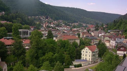 Webcam Bad Wildbad