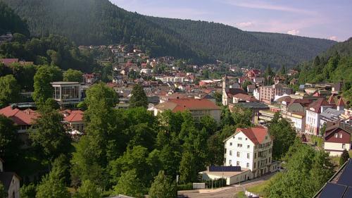Webcam Bad Wildbad