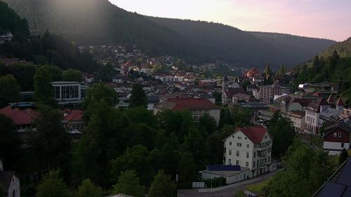 Webcam Bad Wildbad