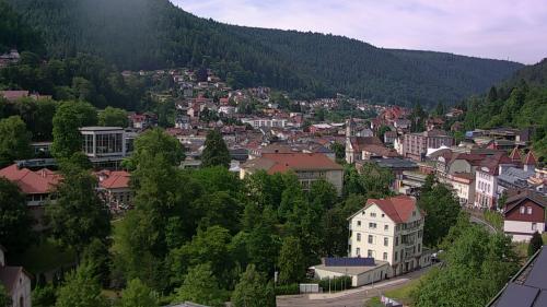 Webcam Bad Wildbad