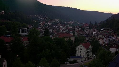 Webcam Bad Wildbad