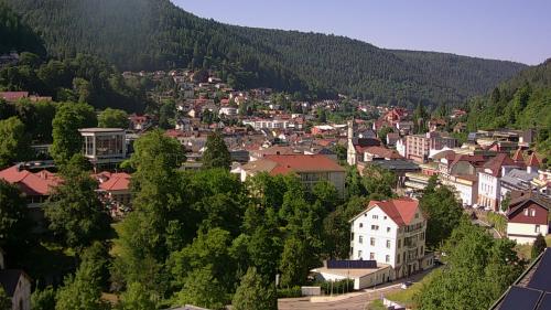 Webcam Bad Wildbad