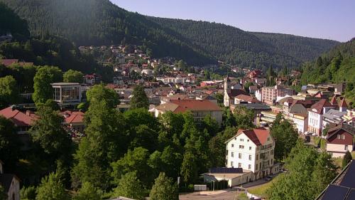 Webcam Bad Wildbad