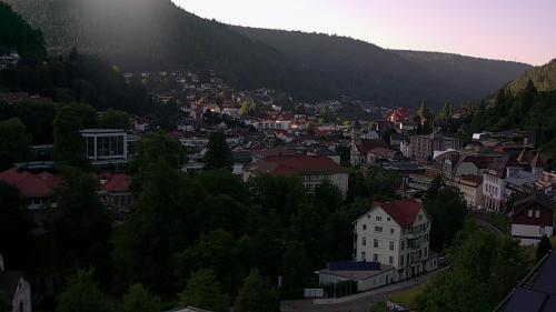 Webcam Bad Wildbad