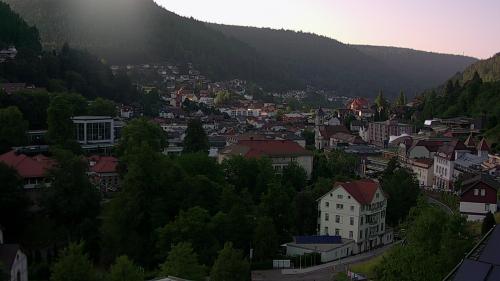 Webcam Bad Wildbad