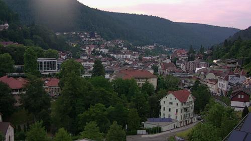 Webcam Bad Wildbad