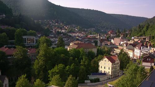 Webcam Bad Wildbad