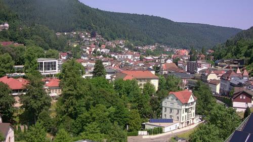 Webcam Bad Wildbad