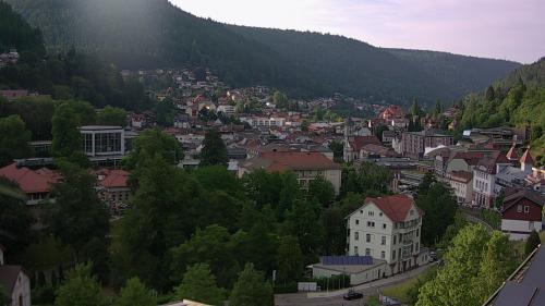 Webcam Bad Wildbad