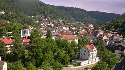 Webcam Bad Wildbad