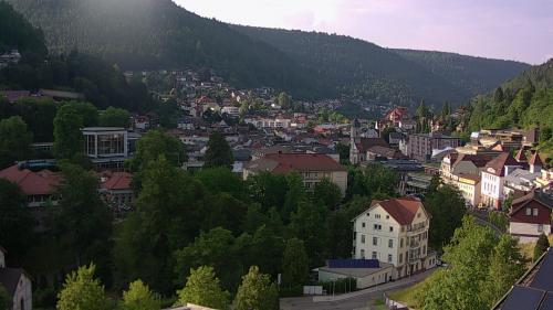 Webcam Bad Wildbad