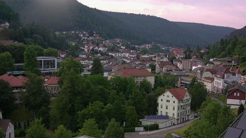 Webcam Bad Wildbad