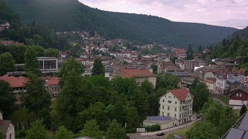 Webcam Bad Wildbad