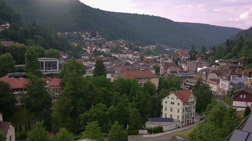 Webcam Bad Wildbad